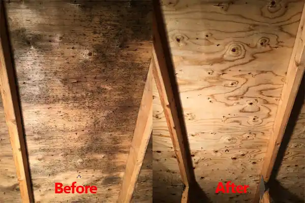 water damage restoration service Overlea